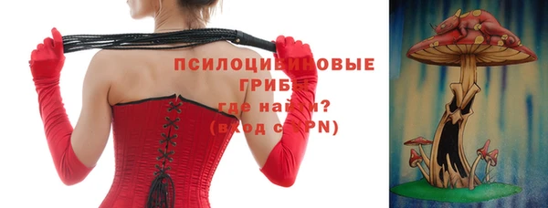 apvp Михайлов