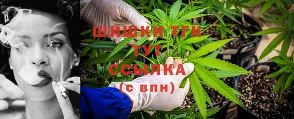 ПСИЛОЦИБИНОВЫЕ ГРИБЫ Михайловка