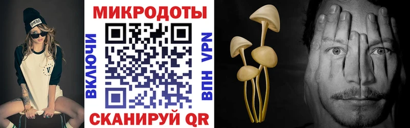 хочу   Артёмовск  Галлюциногенные грибы Psilocybe 